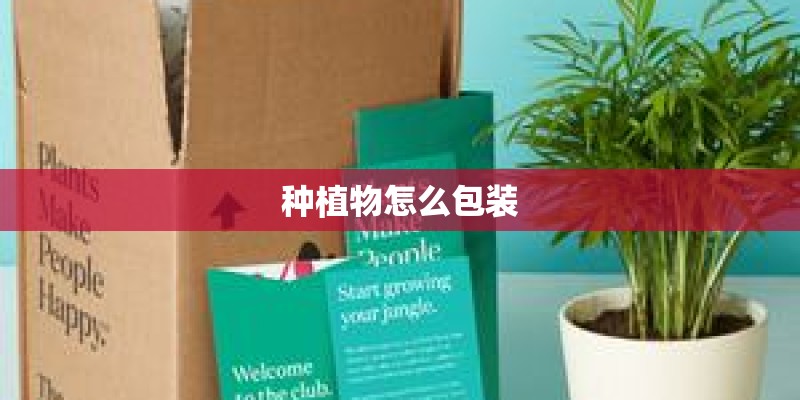 种植物怎么包装