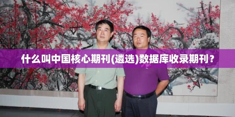 什么叫中国核心期刊(遴选)数据库收录期刊？