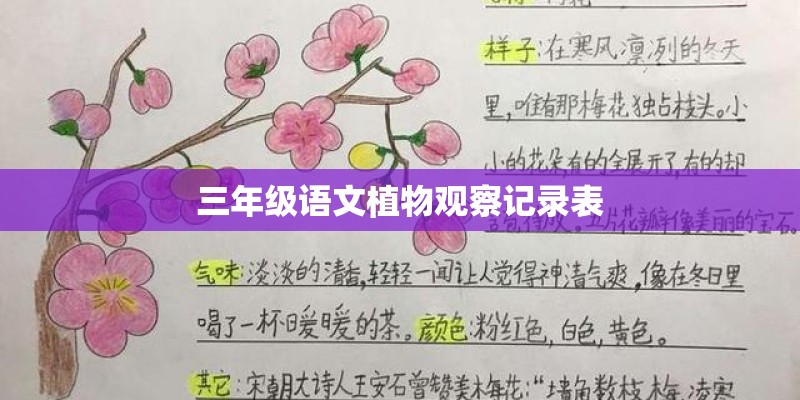 请给我十种园林植物