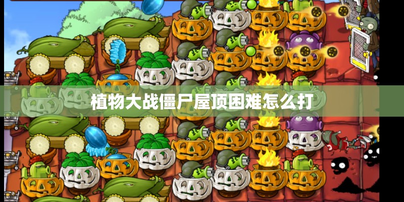 海棠能长到多大？