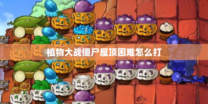植物大战僵尸屋顶困难怎么打