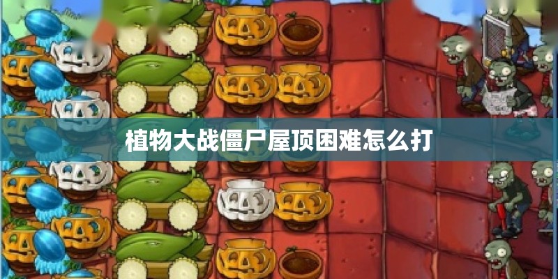 植物大战僵尸屋顶困难怎么打