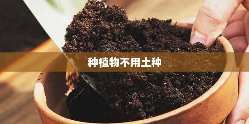 迷你世界里面种地有什么小技巧吗？
