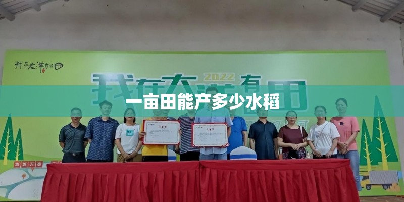 一亩田能产多少水稻