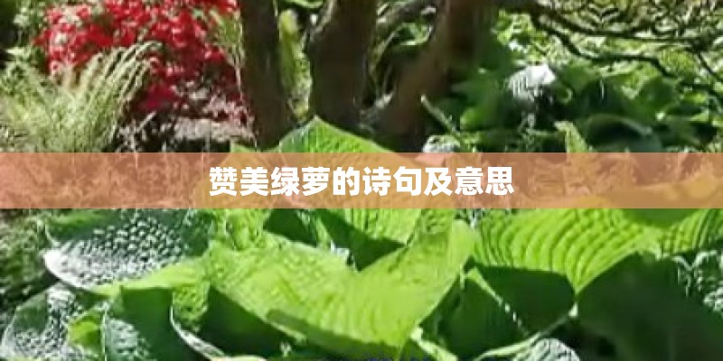 请给我十种园林植物