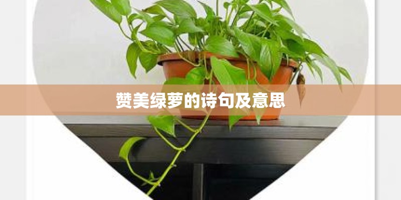 赞美绿萝的诗句及意思
