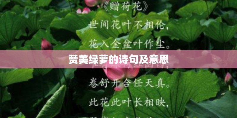 赞美绿萝的诗句及意思