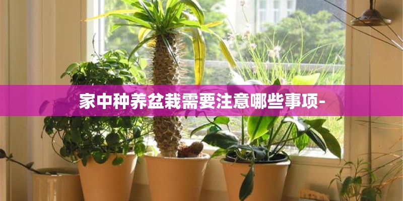成都最好的职业学校排名