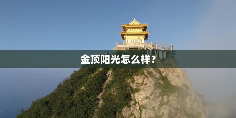 海棠能长到多大？