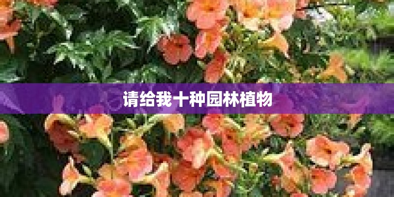 请给我十种园林植物