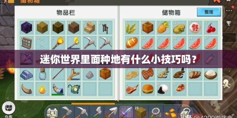 迷你世界里面种地有什么小技巧吗？