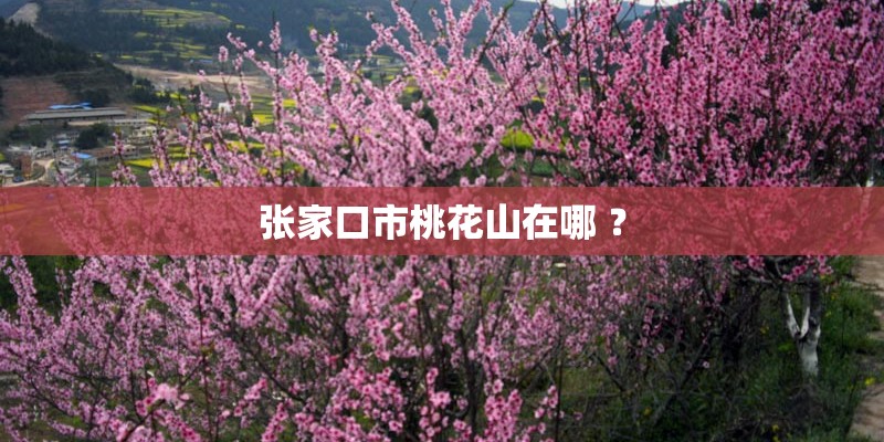 迈锐宝xl和速派哪个好？