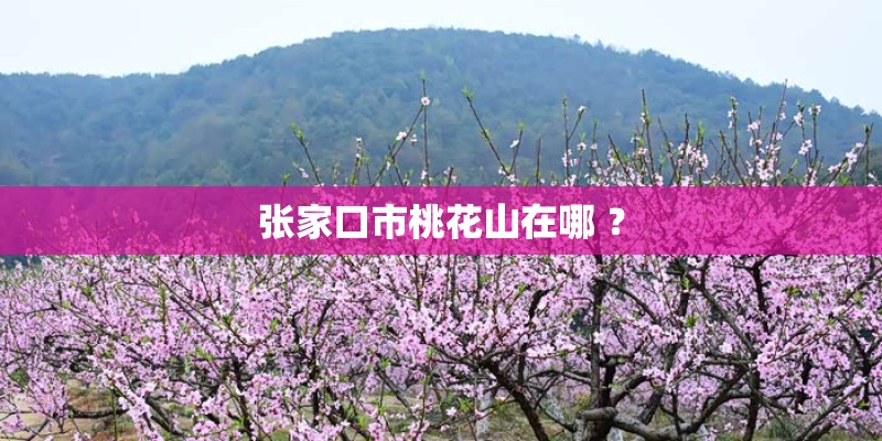 张家口市桃花山在哪 ？