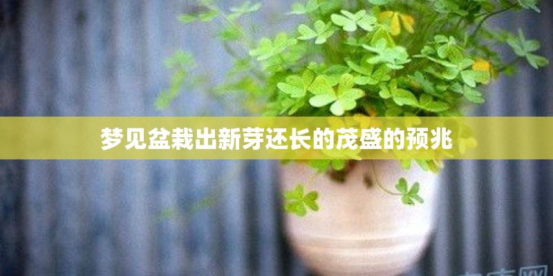 成都最好的职业学校排名