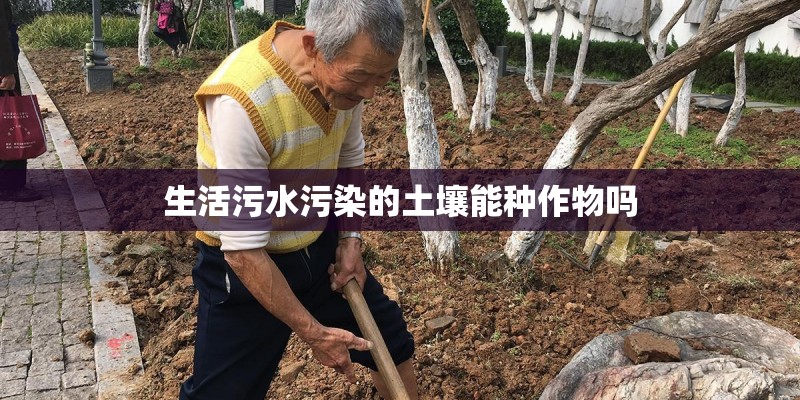 迷你世界里面种地有什么小技巧吗？
