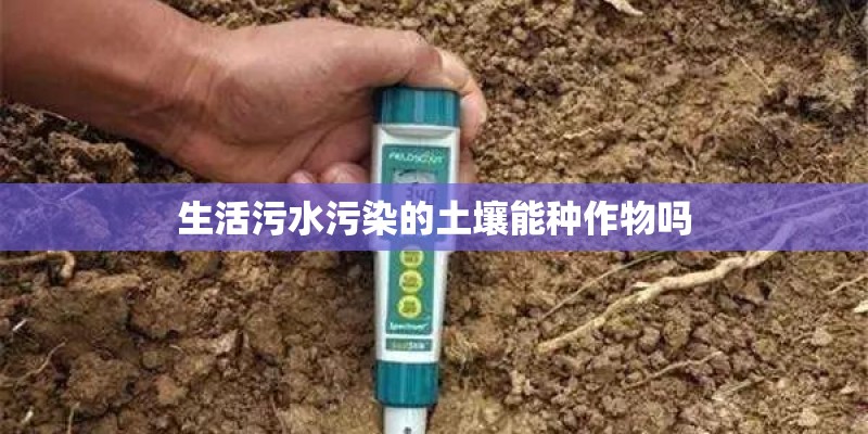 生活污水污染的土壤能种作物吗