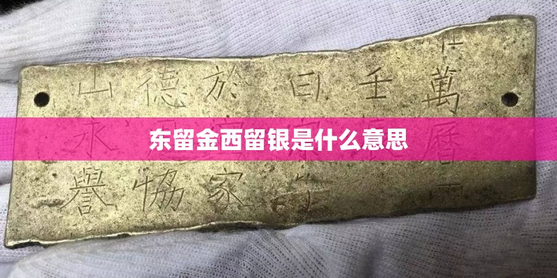 洪家楼租房网