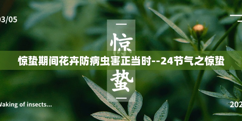 VV7油耗多少钱一公里？