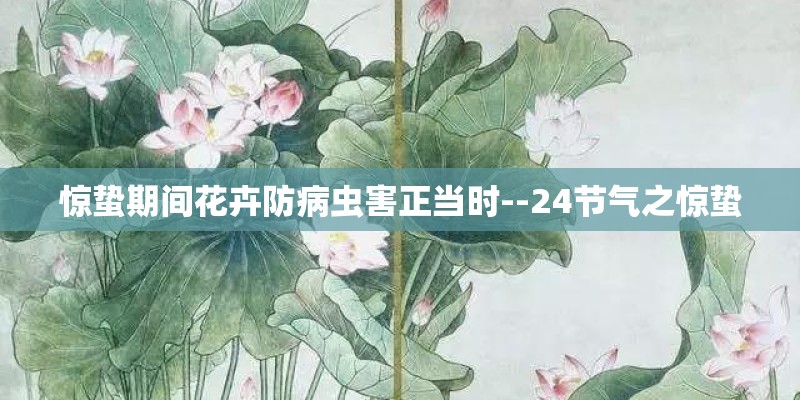惊蛰期间花卉防病虫害正当时--24节气之惊蛰