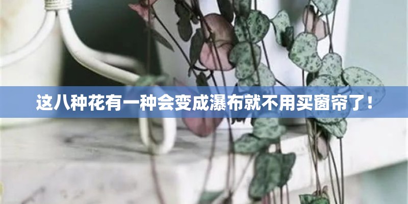 环氧地坪漆多少钱一桶？