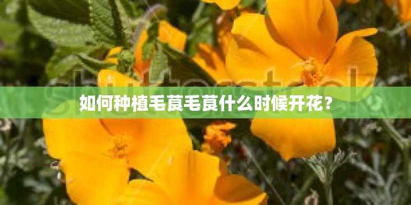 东留金西留银是什么意思