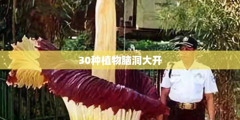 秋天葡萄苗多久能发芽