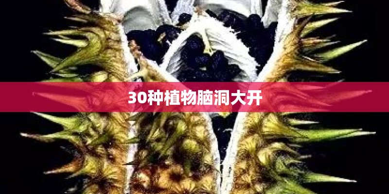 30种植物脑洞大开