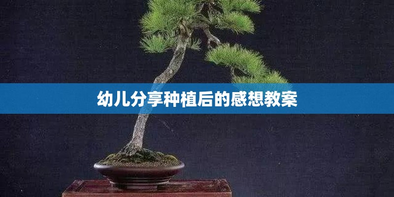 幼儿分享种植后的感想教案