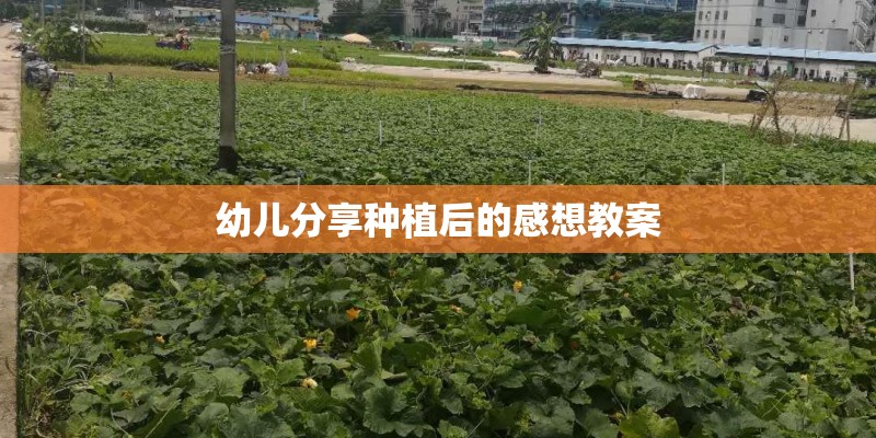 幼儿分享种植后的感想教案