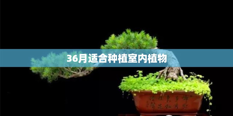 汽车理论名词解释 汽车理论名词解释题库_1