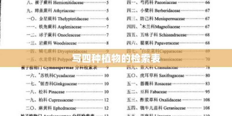 写四种植物的检索表