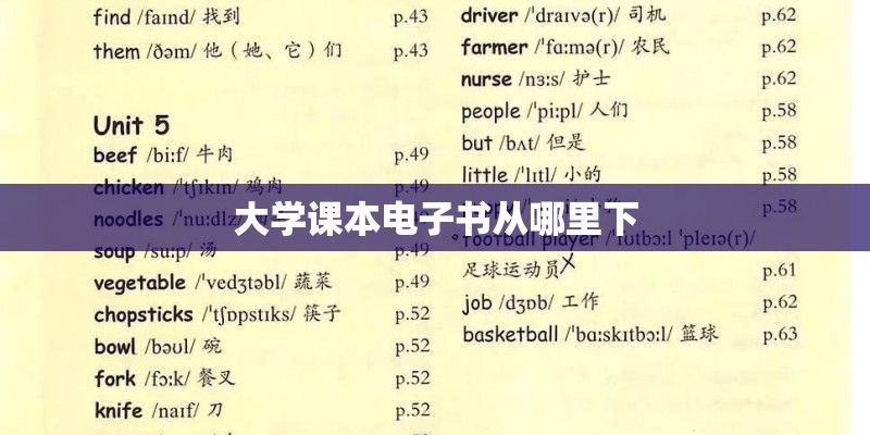大学课本电子书从哪里下