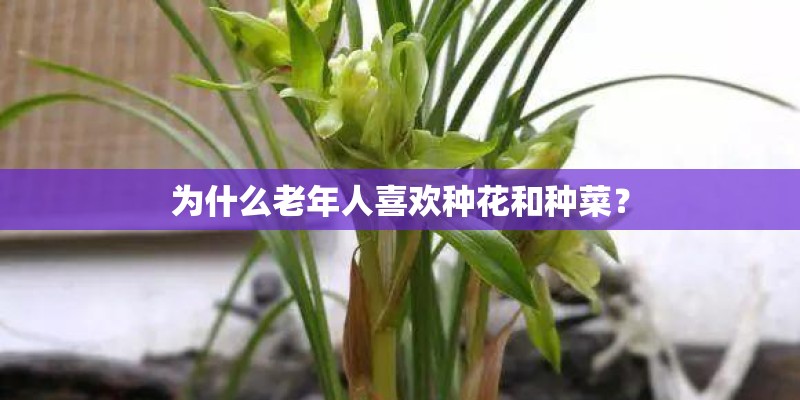 幼儿分享种植后的感想教案
