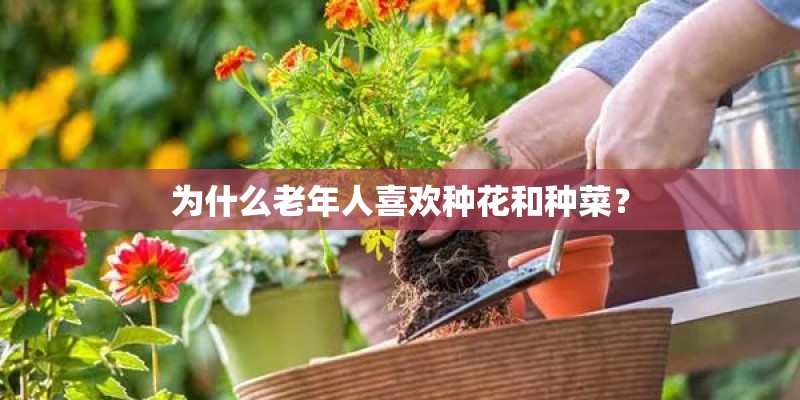 为什么老年人喜欢种花和种菜？
