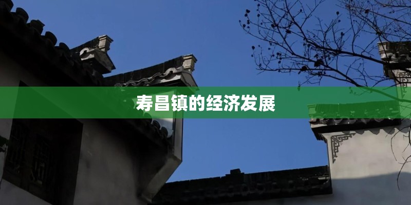 寿昌镇的经济发展