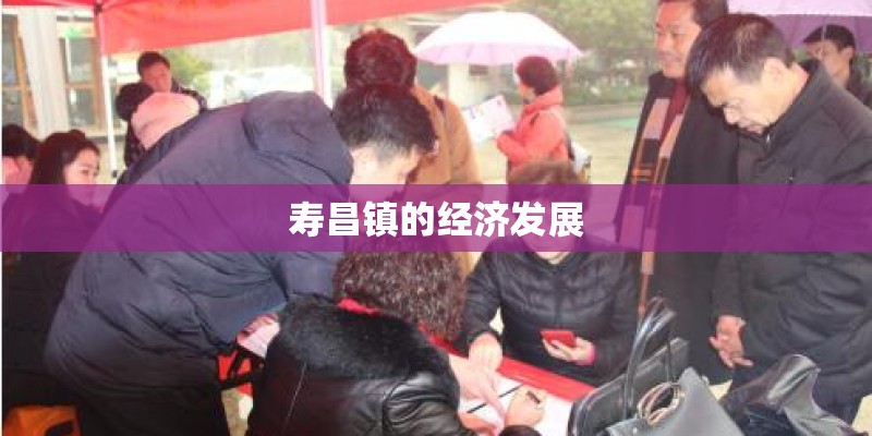 寿昌镇的经济发展