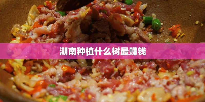 湖南种植什么树最赚钱