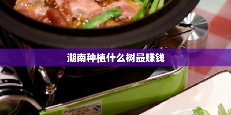 湖南种植什么树最赚钱