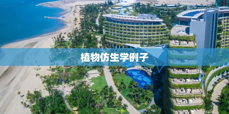 植物仿生学例子