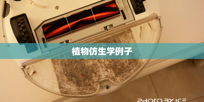 植物仿生学例子