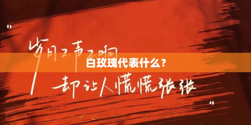 白玫瑰代表什么？