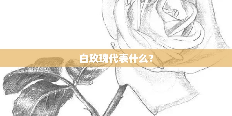 福建龙岩长汀二手房过户手续该怎么办理-