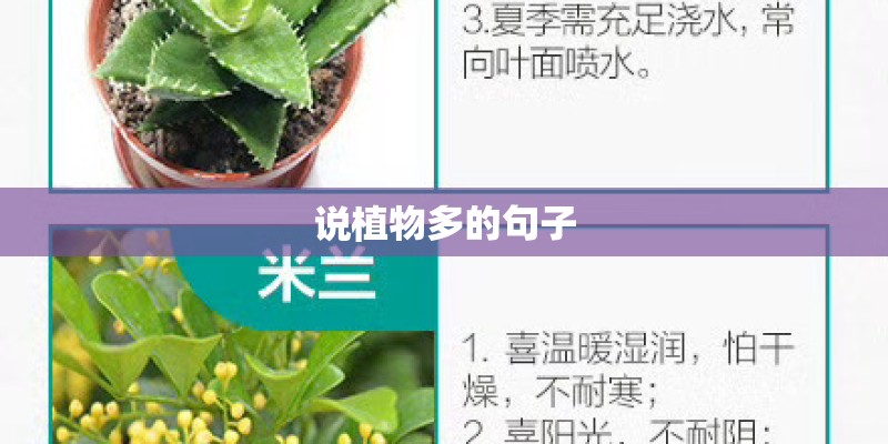 说植物多的句子