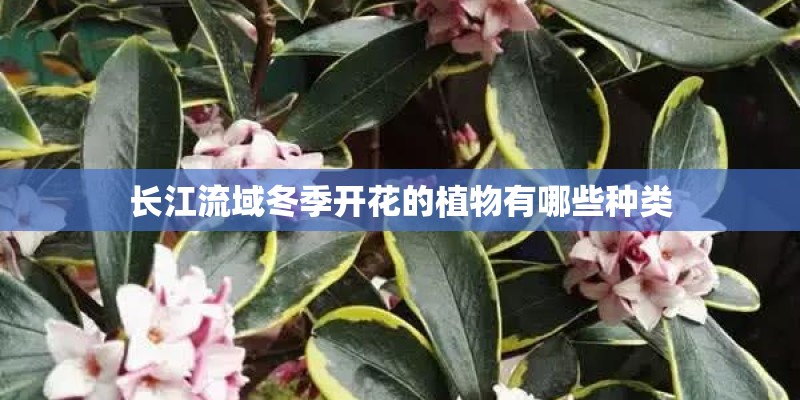 钱江国际时代广场交通方便吗？