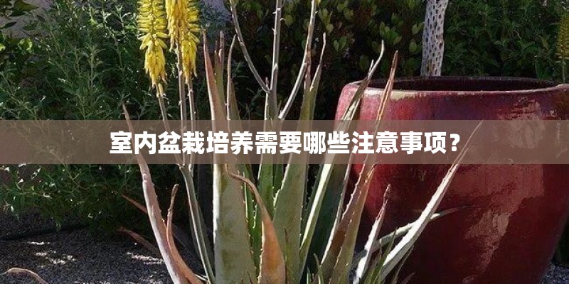 最值得订阅的十大杂志