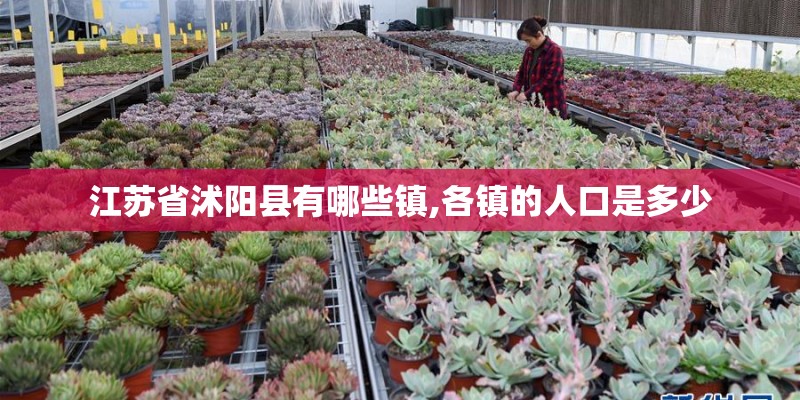 江苏省沭阳县有哪些镇,各镇的人口是多少