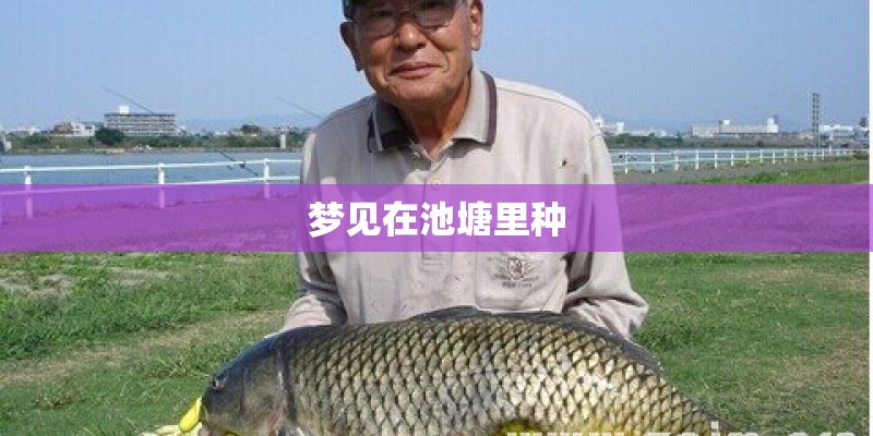 山东职业技术学院录取线