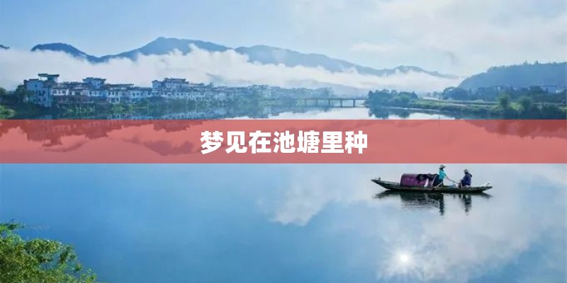 梦见在池塘里种