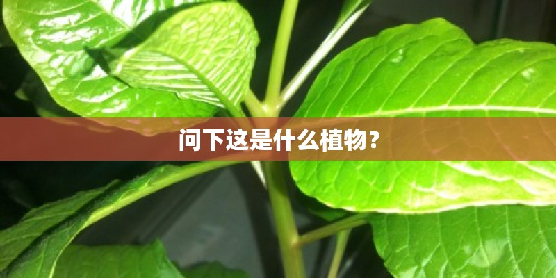 江南大学附近旅馆日租费