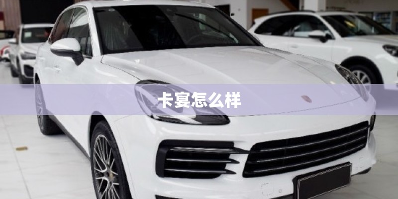 卡宴怎么样